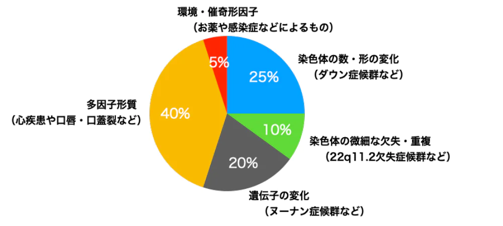 解析内容と結果返却までの時間